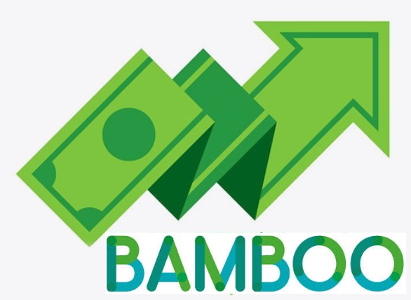 bamboo-credit-3.jpg